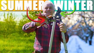 Summer or Winter Fruit Tree Pruning THE BEST time to Prune is￼...