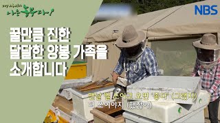 [꿀이야 금이야 달콤한 꿀벌 가족] 귀농 2년 차, 꿀처럼 달달한 양봉 가족
