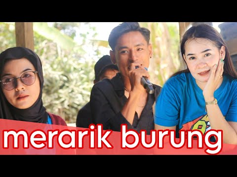 azya musik merarik burung live jurang jaler
