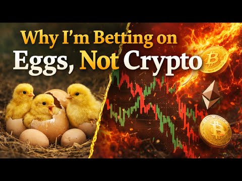 I Stopped Chasing Crypto and Started Building Wealth with Poultry