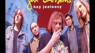 Gin Blossoms Can&#39;t Hardly Wait (Live)