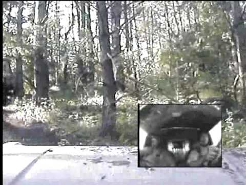 Video 8 aus 2009
