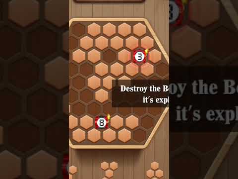 Wooden Hexagon Fit: Hexa Block Video