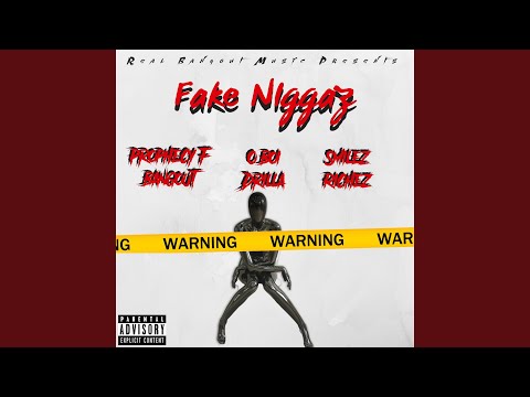 Fake Niggaz