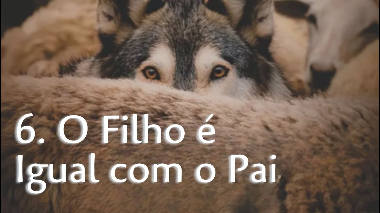 Lição 6 – O Filho é Igual com o Pai