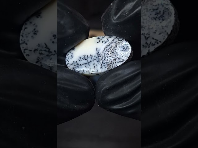 حجر اوبال شجري طبيعي