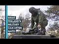 Finland's military strength explained