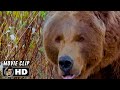 THE EDGE Clip Bear Chase 1997 Anthony Hopkins