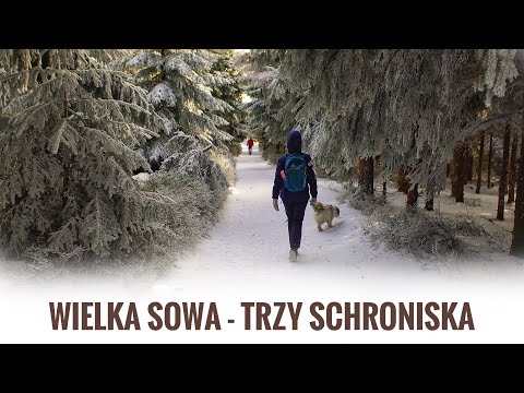 Wielka Sowa 1015 m n.p.m. - Góry Sowie #KGP