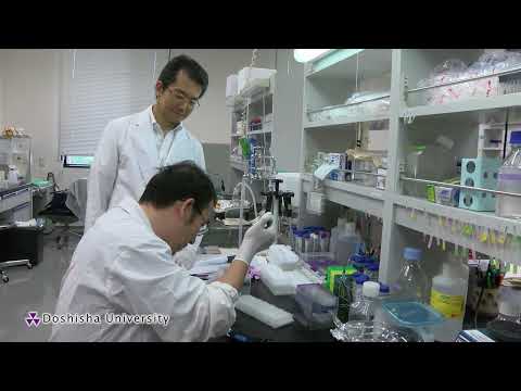 化学システム創成工学科 同志社大学 生命医科学部②