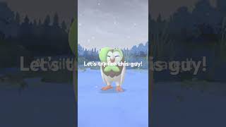 JTCRIPS first try let’s go #pokemon #pokemongo #pokemoncards #pokemonchannel ￼
