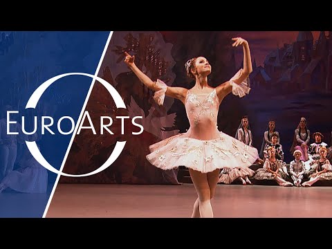 Tchaikovsky - The Nutcracker: Sugar Plum Fairy, Pas de Deux, Waltz of the Flowers | Best Dances