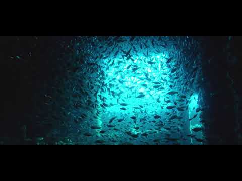 exHMAS Brisbane 2018 HD