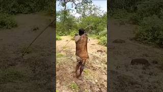 Download lagu Chita Sobe na Árvore com a Presa 🐆 Cheetah Hunt #Wildlife mp3 Download lagu Chita Sobe na Árvore com a Presa 🐆 Cheetah Hunt #Wildlife mp3
