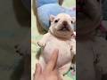 Uhhh Wash My Bellay