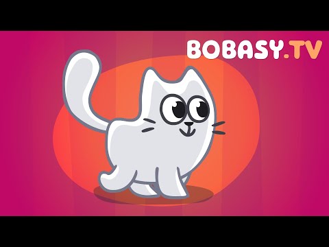 W Chowanego z Panem Kotem - Piosenka dla dzieci - Bobasy TV - N