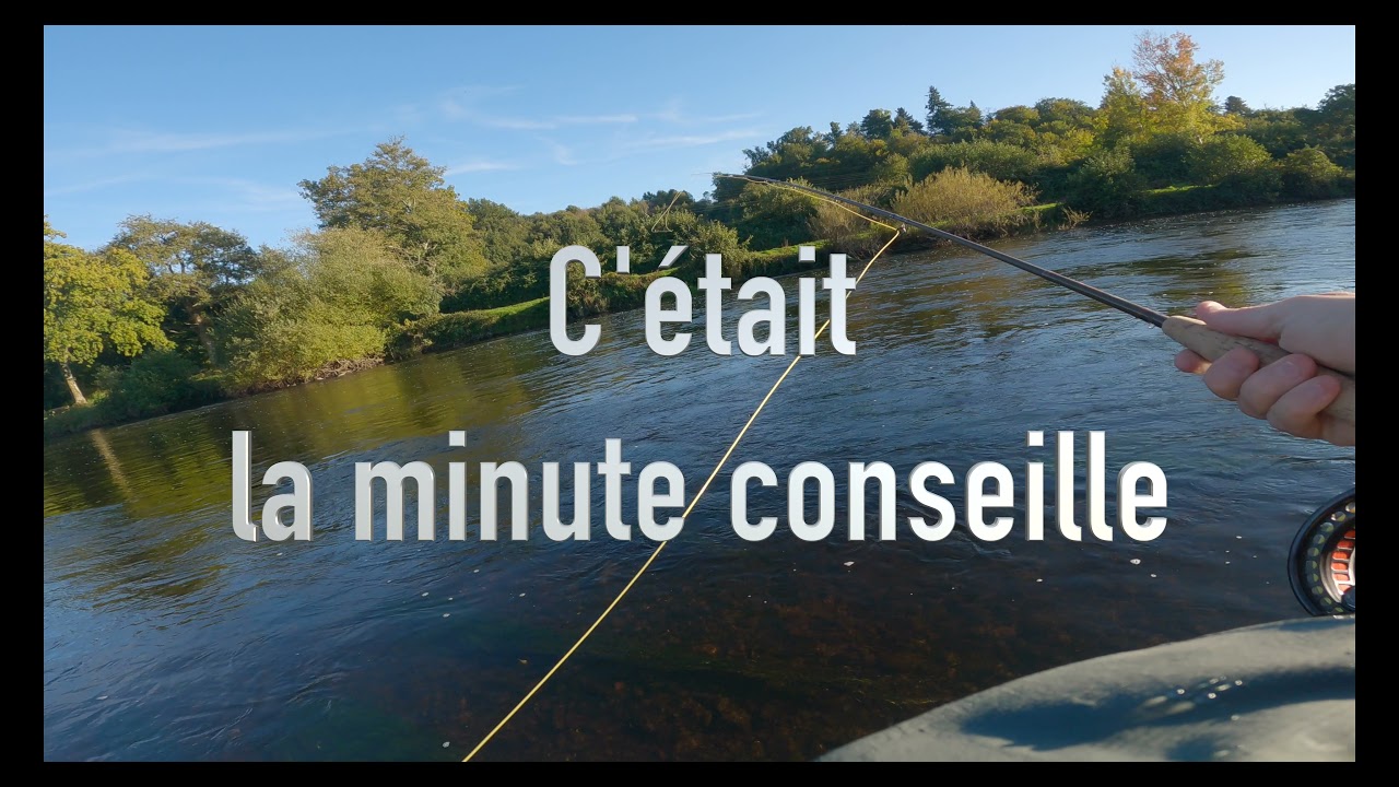 La mouche  sur Vienne   4K