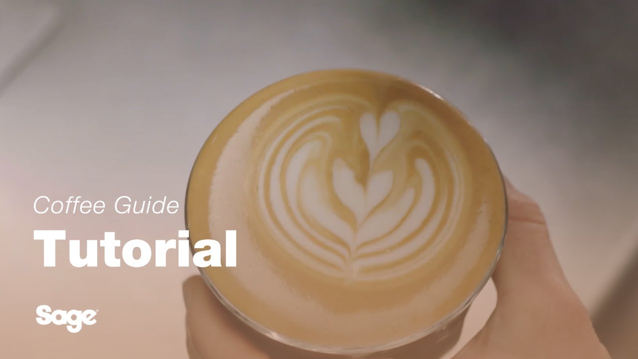 How to create latte art: the tulip & rosetta