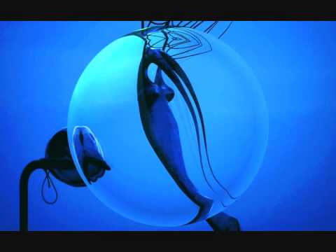 Lamat & Han Solo Next Generation Of Science