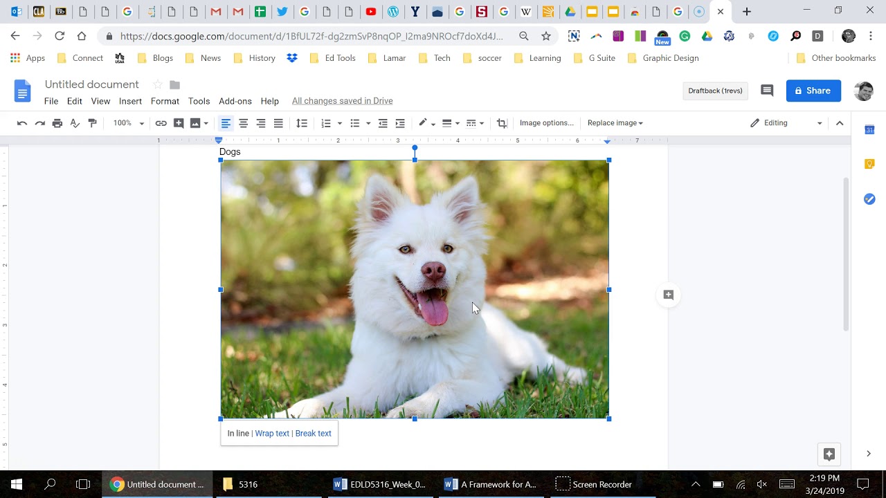 Digital Citizenship: Images