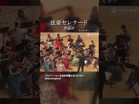 弦楽セレナード ホ短調 作品20