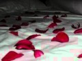 Bed of Roses-Hinder Lyrics 