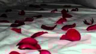 Bed of Roses-Hinder Lyrics