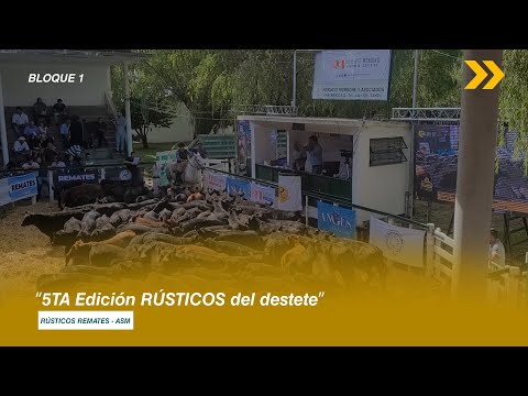"5TA EDICIÓN RÚSTICOS DEL DESTETE"