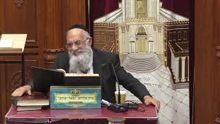 הלכה ואגדה | הרב שמשון כהן | הכנה לחג השבועות יו"ד מה דין חלב ודגים - יח' אייר תשפ"ו