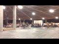Women S Chicken Elmo 2014 Song 5