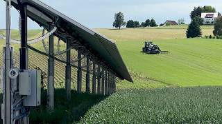 La agrovoltaica marca el camino hacia un uso sostenible de los paneles solares en Europa