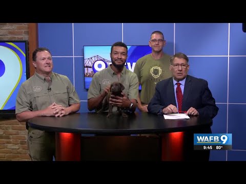 Red Stick Sportsman's Night Out happening this week