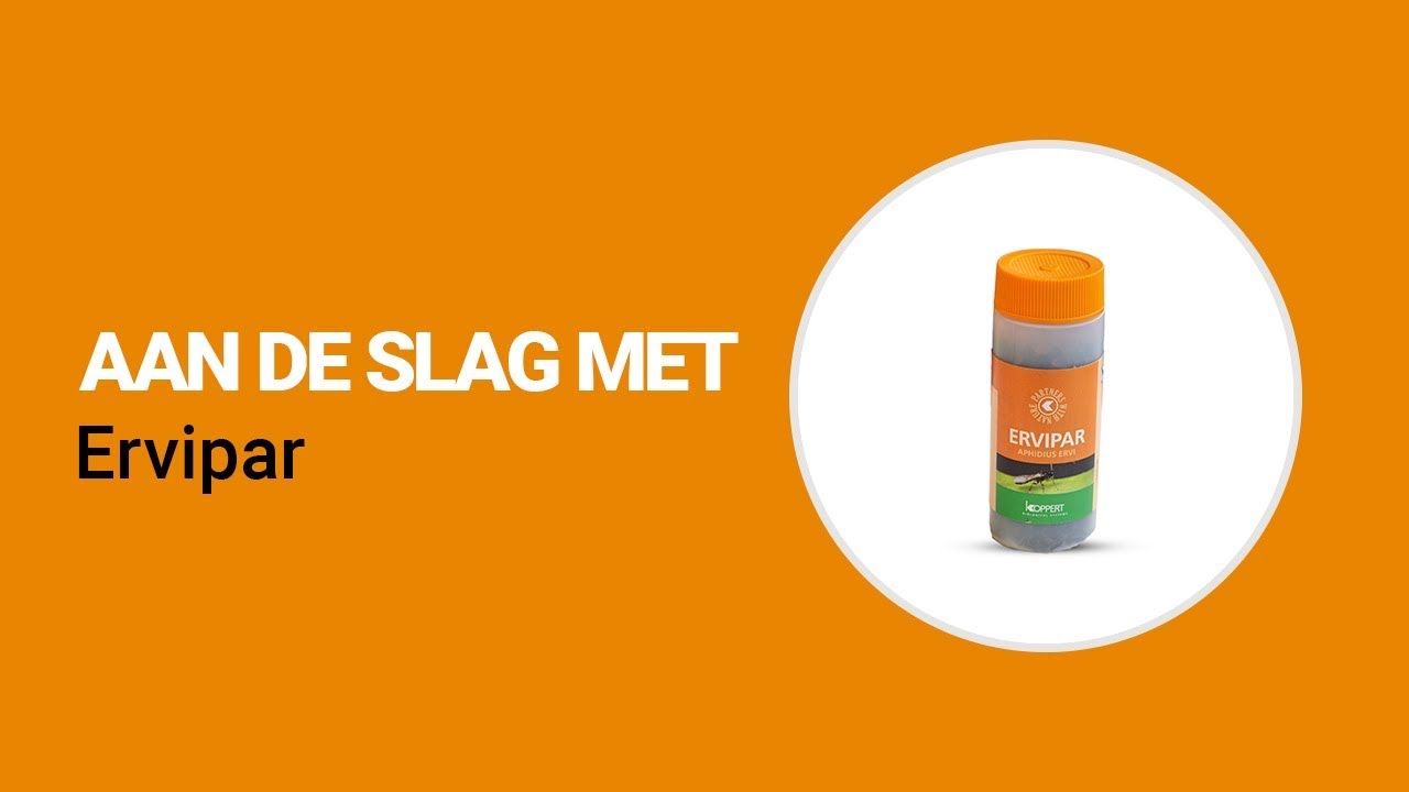 Video preview poster