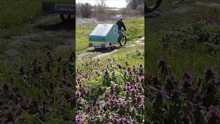 Regaleinbau und Tour an den Fluss mit meinem Fahrradwohnwagen#Fahrradwohnwagen #tinyhouse #caravan