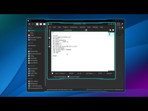 Print C64 Program Listing To File In VICE