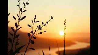 Download lagu 20260123 Kanvas Fana v2 x264 mp3