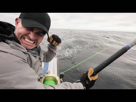 LUTTE AVEC UN MONSTRE DE 450 KILOS ! - Cyril Chauquet