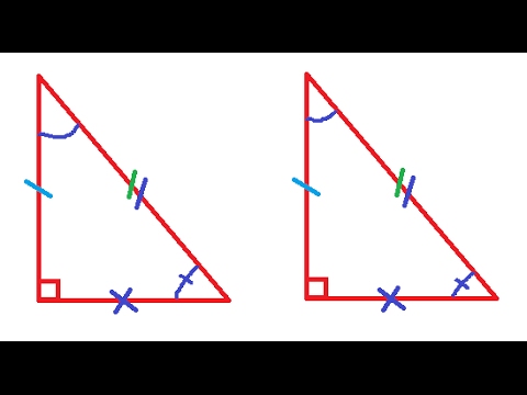 Các trường hợp tam giác vuông bằng nhau - Toán lớp 7 [Online Math - olm.vn]
