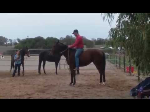 Deepdale Park Gisela