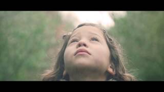 Dave Fidler - Skylark