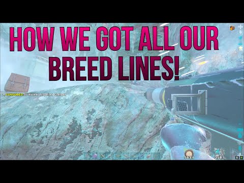 How We Got Every Dino We Needed! Raiding A Pearl Cave! ep.7 - Official Small Tribes PVP-ARK 2022