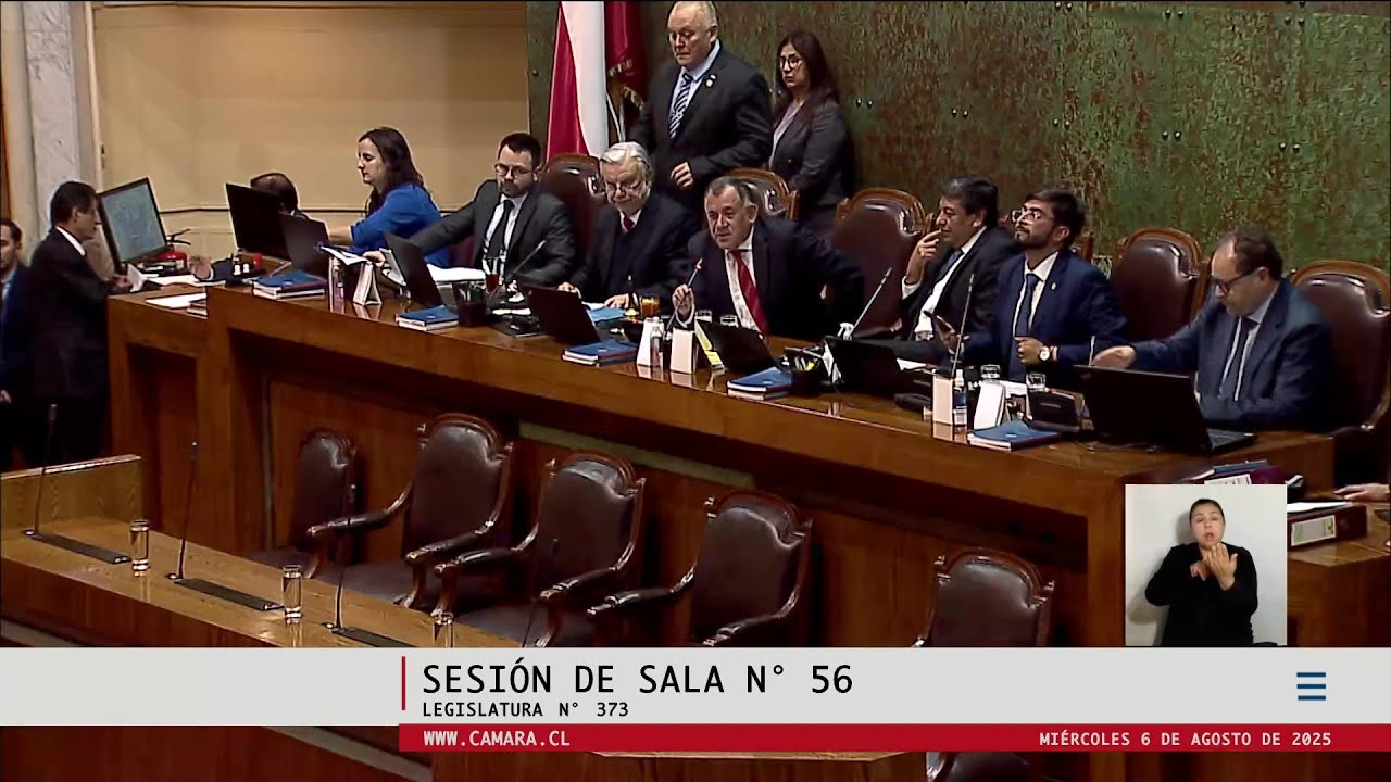 Intervención del Diputado Daniel Lilayú