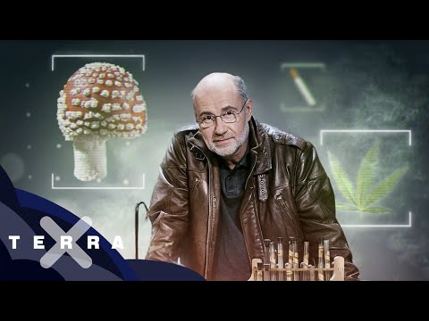 Drogen Weltgeschichte: Cannabis & Co. – Terra X Harald Lesch