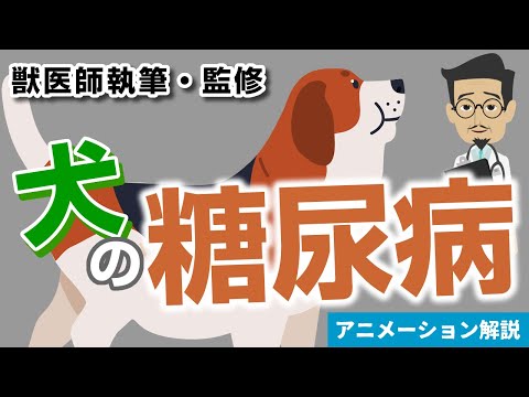 犬の多食症 - 症状、原因、治療法