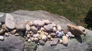 Harry Chapin's Gravesite @ Huntington Rural Cemetery