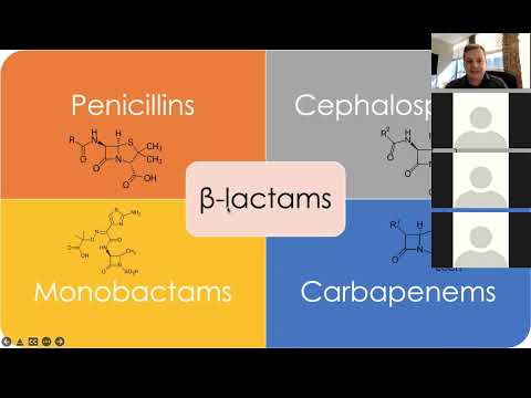 Beta-lactams - Jeremy Nel