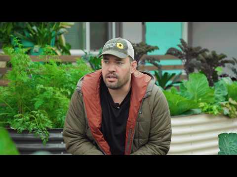 I Left My Dream Homestead.