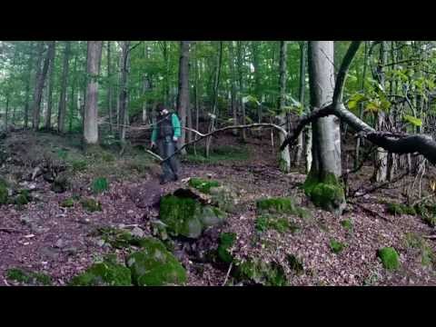 Wandern im Saaletal - Extratour Thulbataler