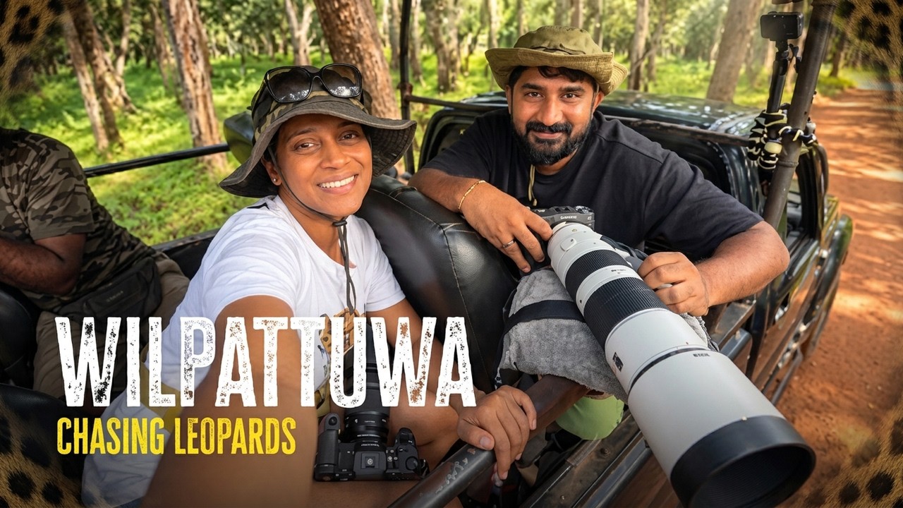 We Spent 2 Days Chasing Leopards in Wilpattu