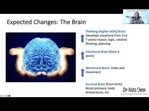 The Teenage Brain Under Construction